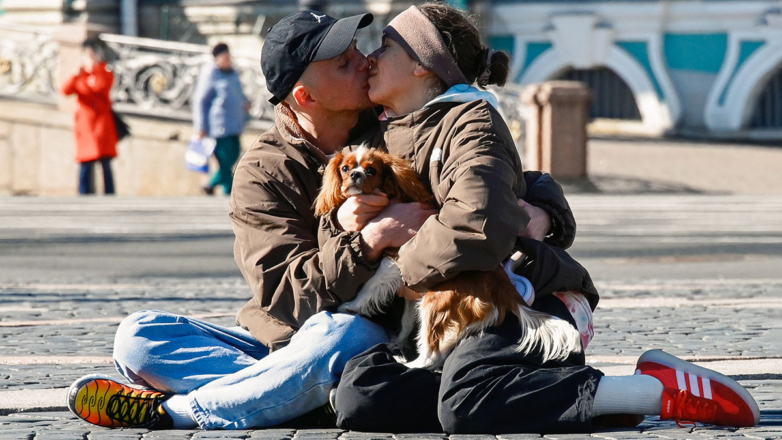 Хвостатые компаньоны: какие собаки и кошки спасают россиян от одиночества, становясь членами семьи