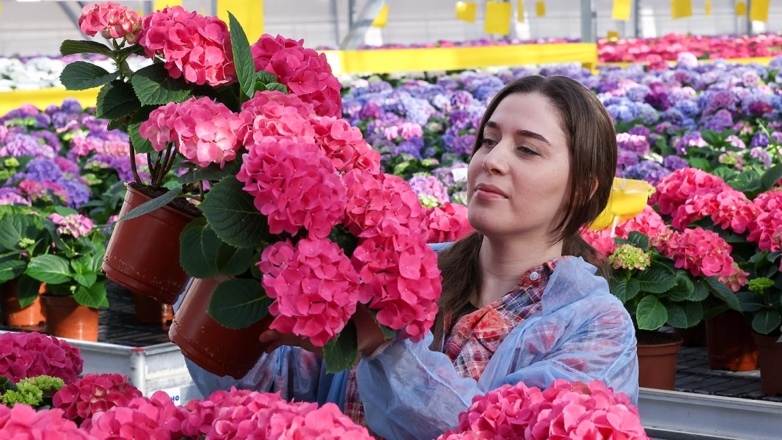 Букеты нам к лицу: индустрия цветоводства в России набирает обороты