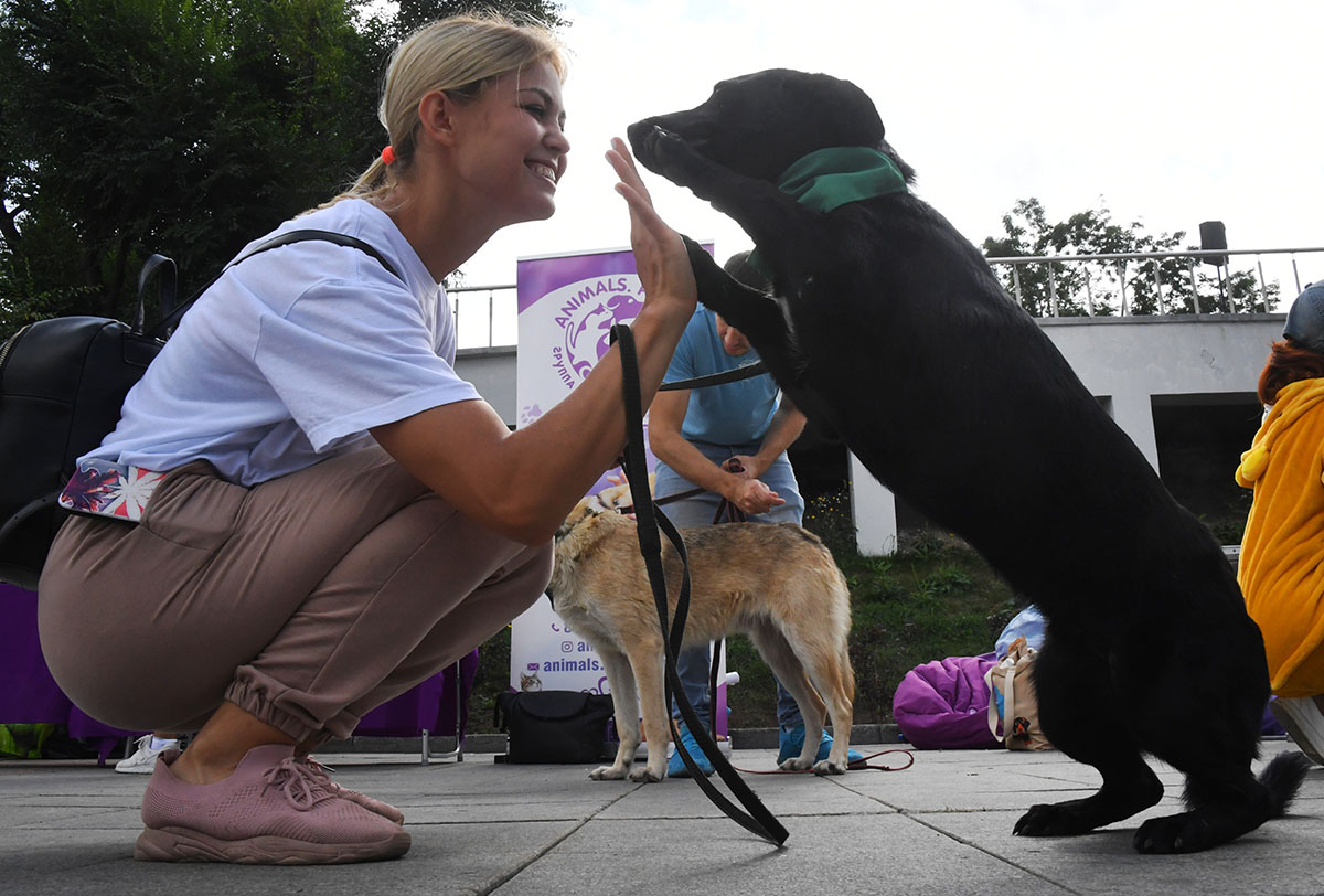 Акция помощи бездомным животным во Владивостоке.