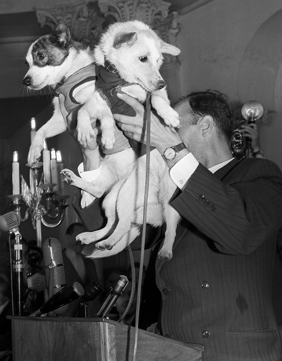 Собаки-космонавты Белка и Стрелка