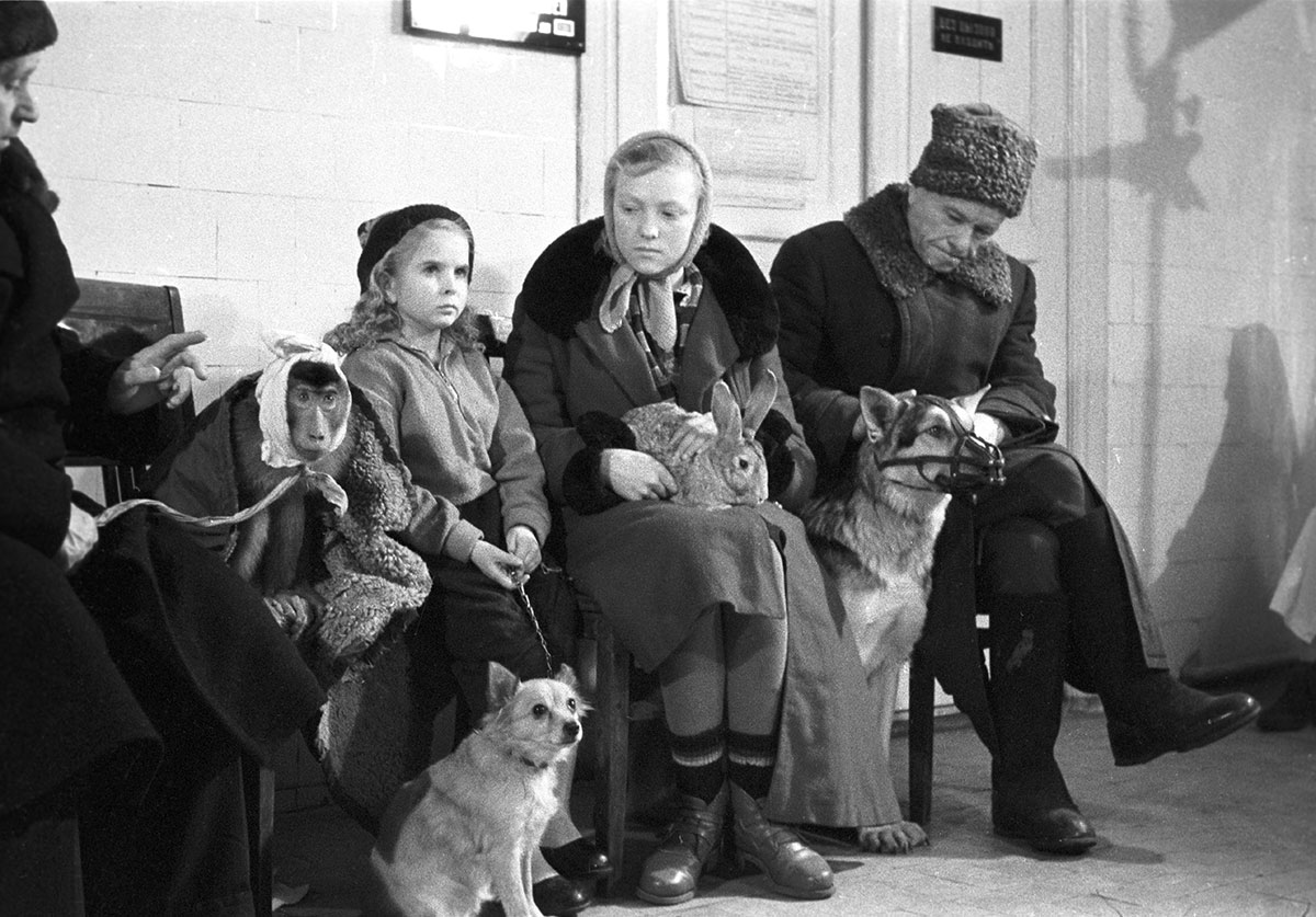 Посетители со своими питомцами в ветеринарной лечебнице