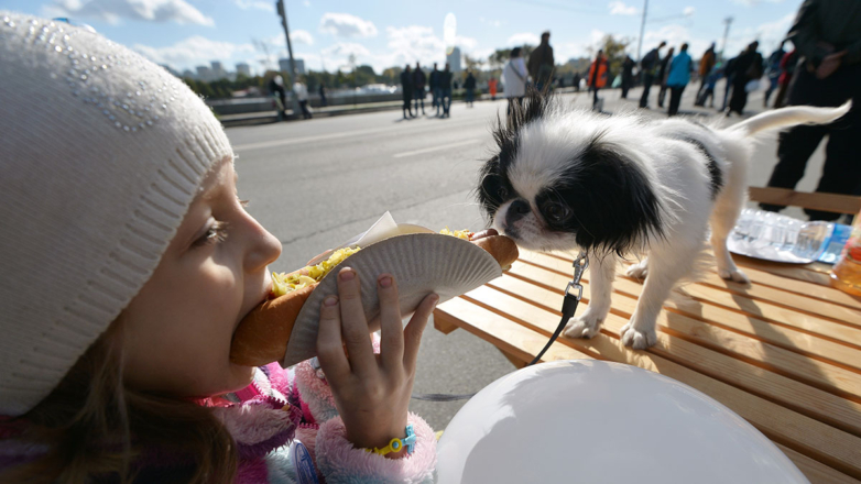 Как российские производители заняли место импортных брендов на рынке зоотоваров