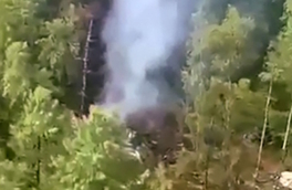 Крушение Ан-24 в Амурской области: какие есть версии авиакатастрофы, как идет поисковая операция и другие подробности