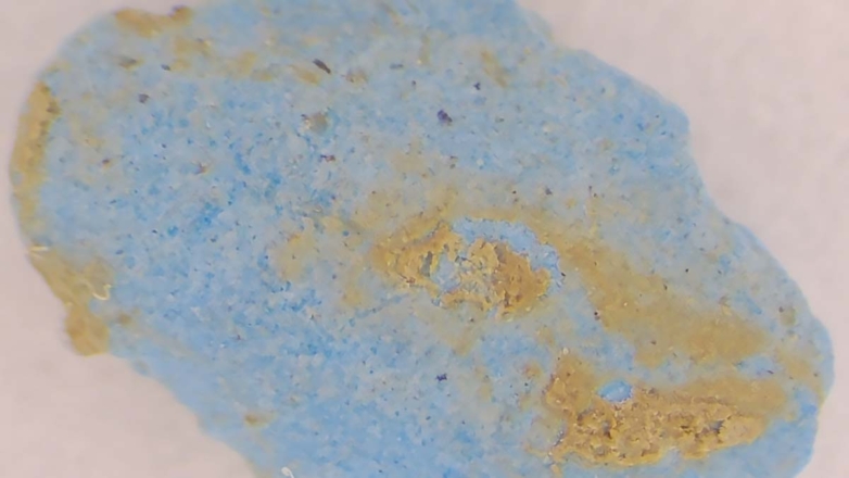 Наскальные рисунки голубого цвета нашли археологи МГУ