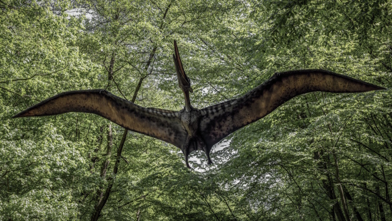 В США нашли кости древнейшего птерозавра на континенте