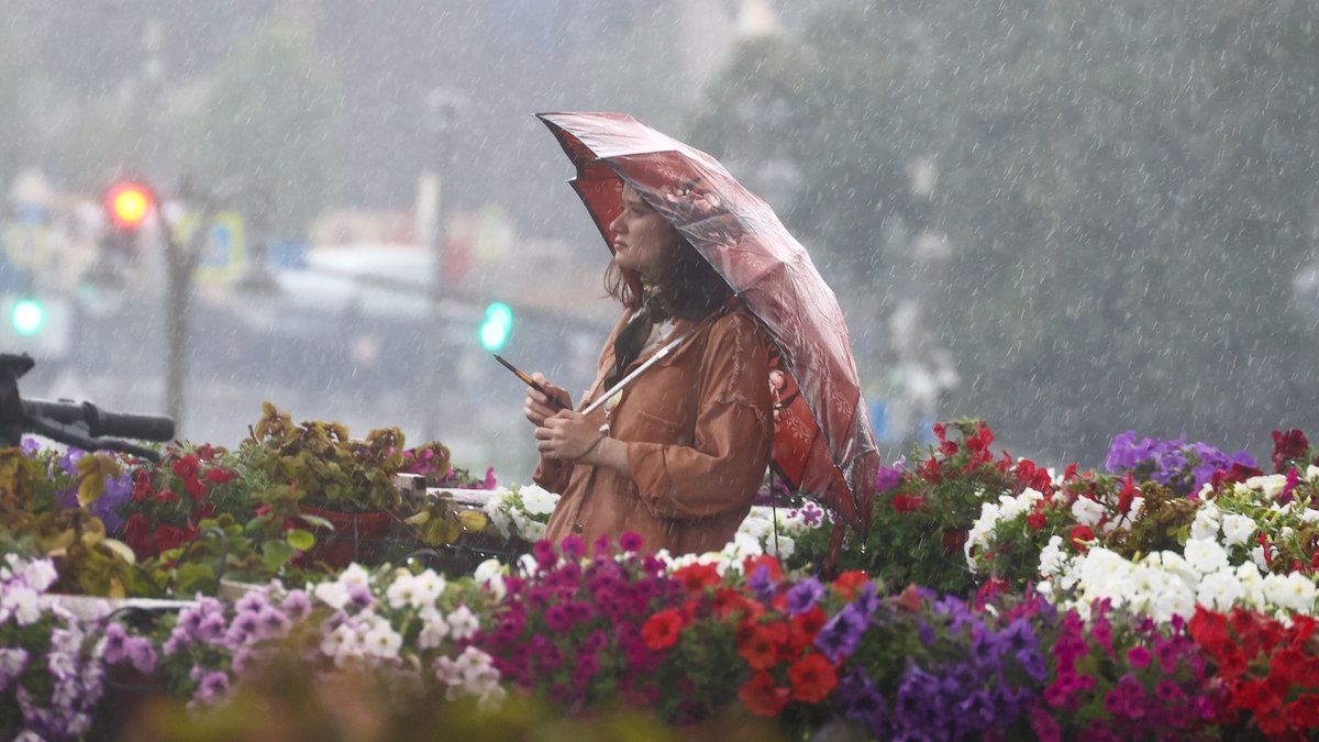 Дождливая погода