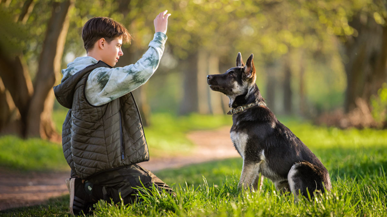 Друзей не дрессируют: почему классическая выучка собак хуже этологических методов