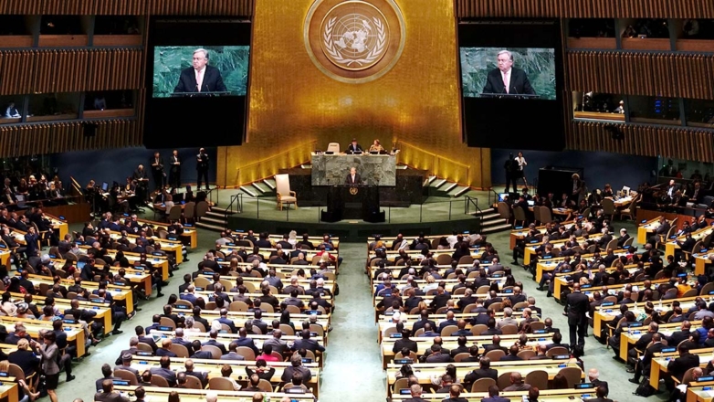 В ООН обнаружили, что их доклады (почти) никто не читает