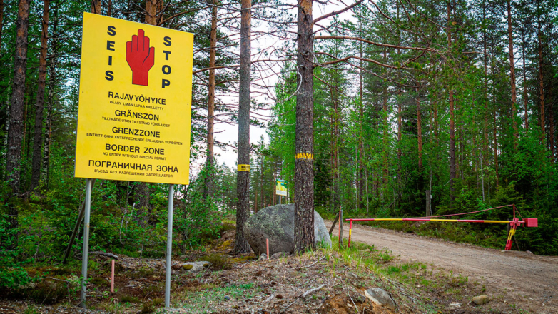 В Европе планируют восстановить болота для защиты от России