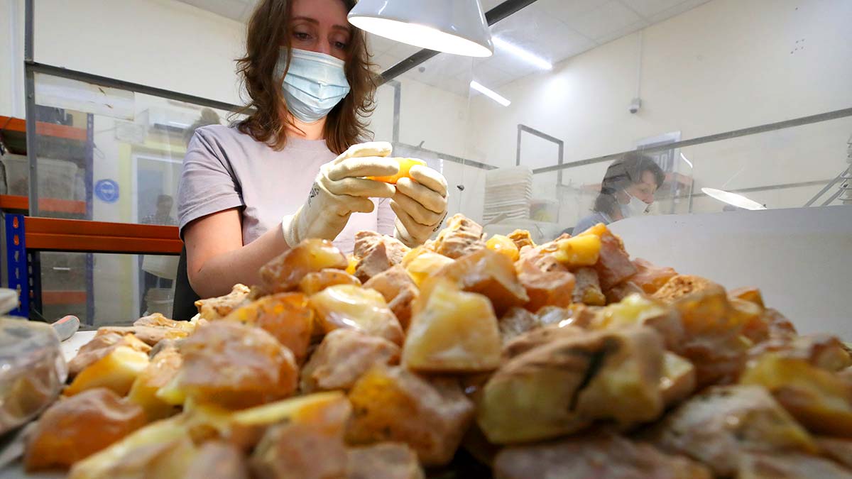 В Москве прошел аукцион редкого янтаря