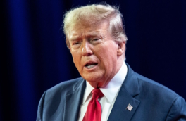 Трамп назвал НАТО "бумажным тигром" после отказа Европы помочь открыть Ормузский пролив