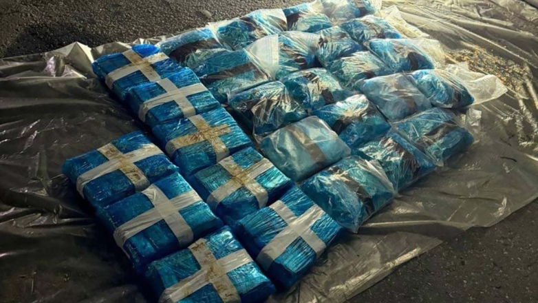 В Подмосковье задержали фуру с 300 кг наркотиков из Молдавии