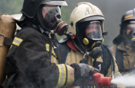 В Новосибирском зоопарке произошел пожар, погибли ламы и альпаки