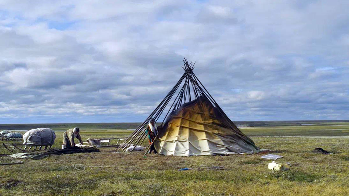 "У ветра нет хвоста"