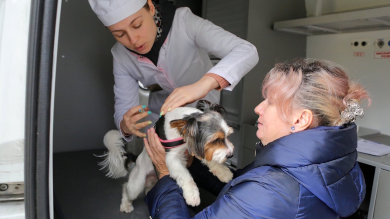 В подмосковных парках будут бесплатно вакцинировать домашних животных от бешенства