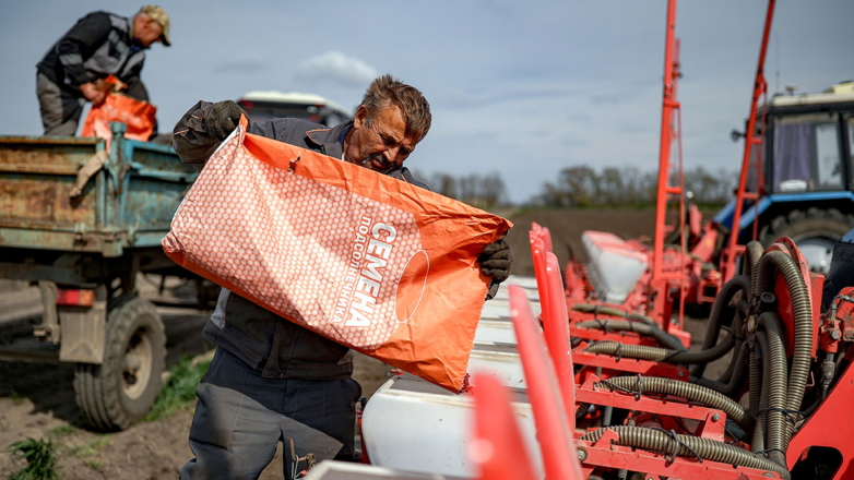 Семена в условиях стресса: станет ли посевной материал в РФ полностью отечественным
