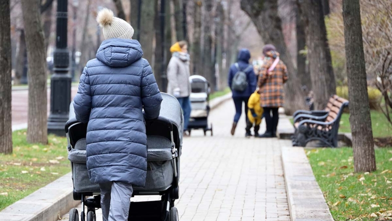 Не ждать скорого выпадения снега в центре Европейской России посоветовал Вильфанд