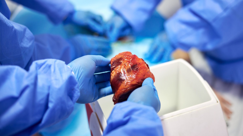 В России представили установку для сохранения жизнеспособности донорской печени