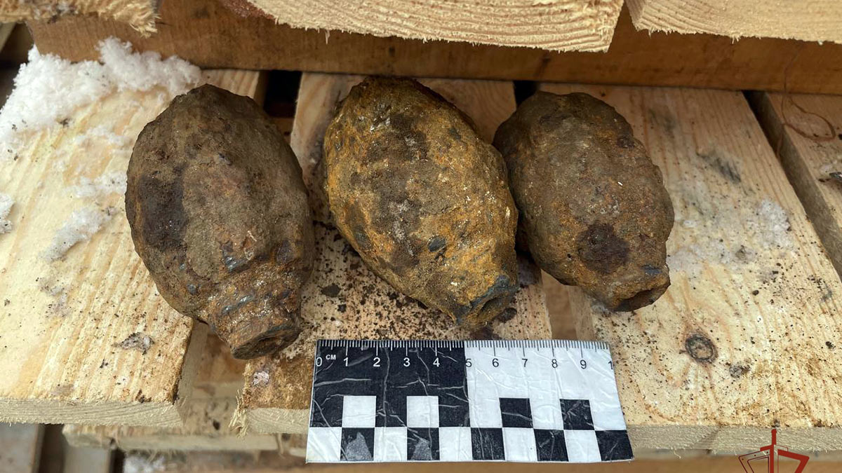 Бойцы Росгвардии обезвредили 21 боеприпас в центре Челябинска