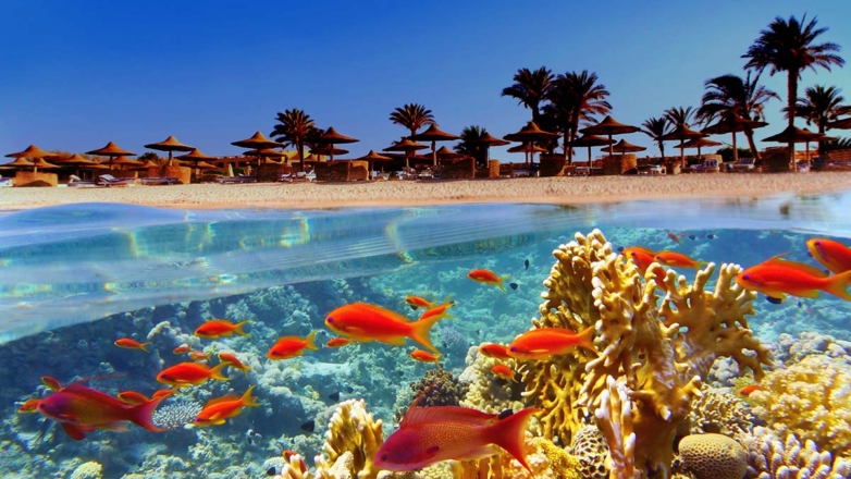 Почему в Египте нельзя купаться после захода солнца: советы туристам