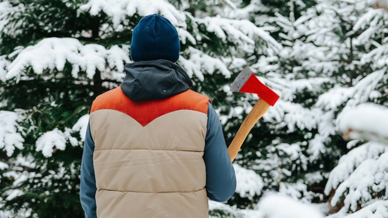 По закону: как срубить елку к Новому году, чтобы не получить штраф
