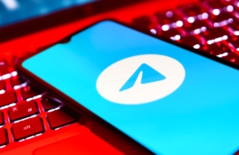 Вероятность возобновления работы Telegram в РФ высока, заявили в СПЧ
