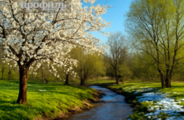 Народные приметы 27 марта: что можно и нельзя делать в этот день