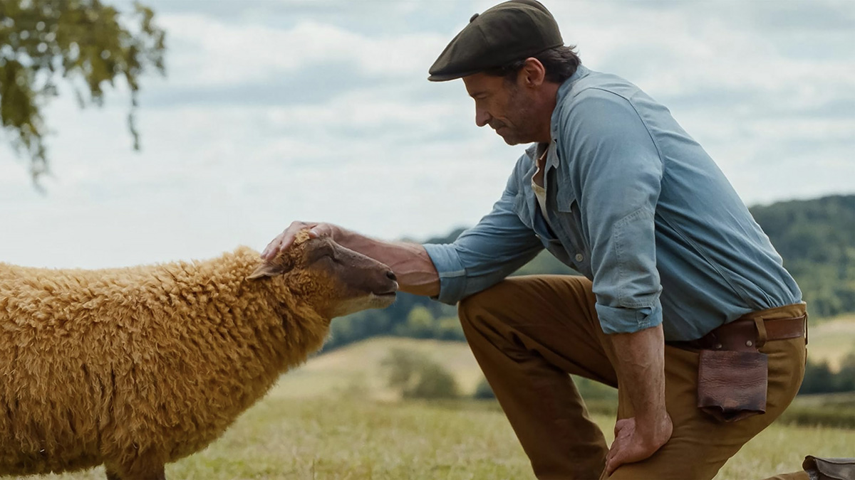 Следствие ведут овечки