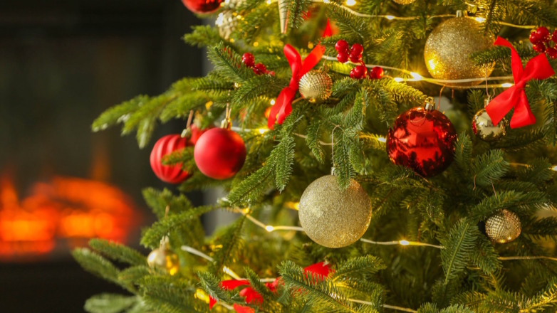 Как сохранить живую елку до старого Нового года: лайфхаки, которые знают не все