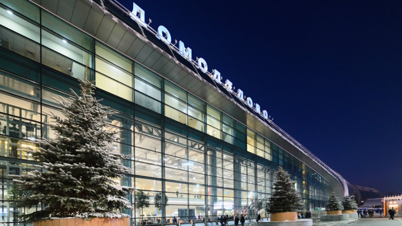 ФАС получила жалобу на действия организатора торгов по продаже Домодедово