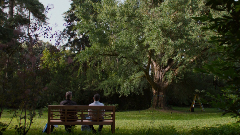 "Молчаливый друг" и "Ловушка для кролика": два фильма о загадках природы