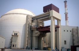 Лихачев заявил о финальной волне эвакуации с АЭС "Бушер"