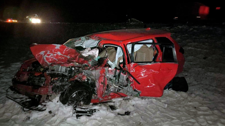 Трое погибли, шестеро в больнице: водитель минивэна сбил лошадь и столкнулся с Toyota на встречке в Туве