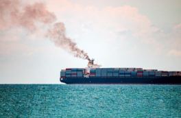 В Ормузском проливе горит грузовое судно