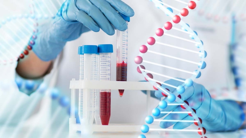 Ученые взломали код долголетия: найден биомаркер крови, предсказывающий срок жизни