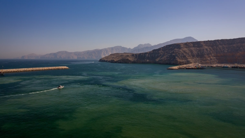О подготовке операции по сопровождению судов через Ормузский пролив заявил Макрон