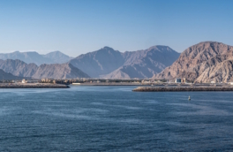 США сами могут взимать плату за проход через Ормузский пролив – Трамп