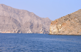 Сигналы США путают ЕС по Ормузскому проливу