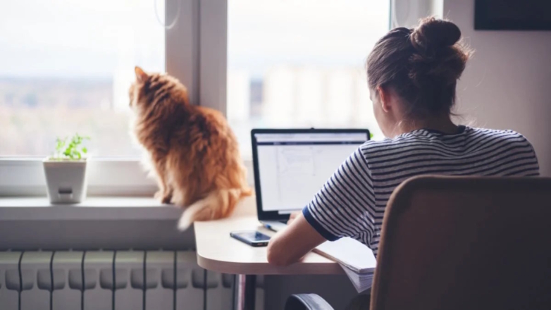 Развитие рынка самозанятости: движущие силы и ожидаемые изменения