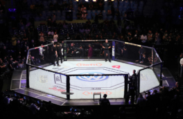 Литовскому бойцу включили гимн СССР на турнире MMA
