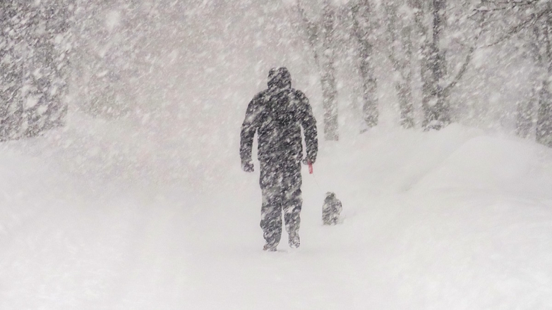 Выше крыши: причины и возможные последствия рекордных снегопадов в России