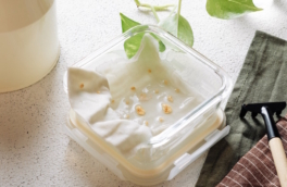 Семена прорастут быстро и взойдут дружно: простой лайфхак от агрономов