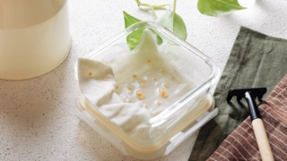 Семена прорастут быстро и взойдут дружно: простой лайфхак от агрономов