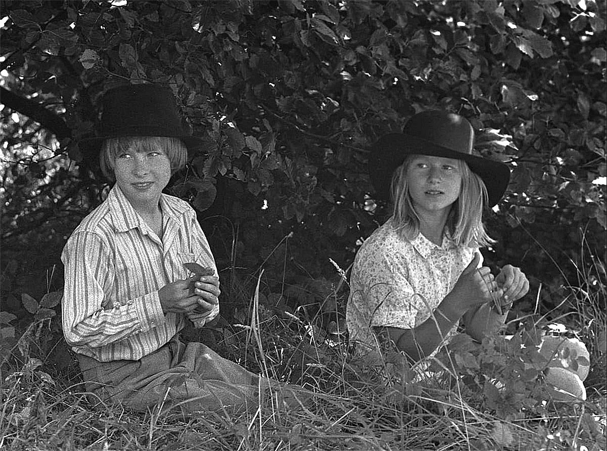 "Тайное лето" кадр из фильма