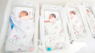 Первая в истории России однояйцевая четверня родилась в Петербурге