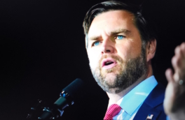 ЕС "посеял зерна" украинского конфликта задолго до начала боевых действий, заявил Вэнс