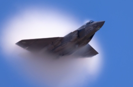 В Иране нашли и задержали пилота сбитого американского F-35