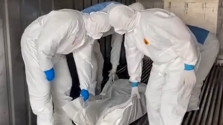 Россия и Украина провели обмен телами погибших военных