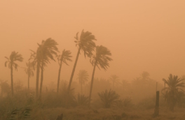 Песчаная буря из Сахары окрасила небо Антальи в красный цвет