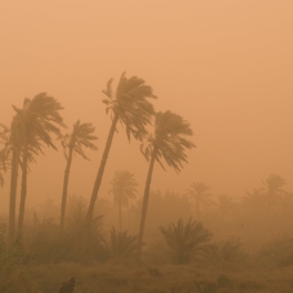 Песчаная буря из Сахары окрасила небо Антальи в красный цвет